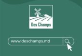 Ace masina de cusut saci GK9-350 | Des Champs