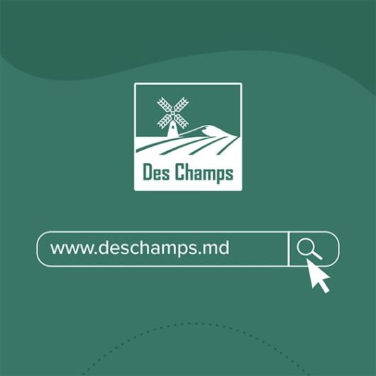 Ace masina de cusut saci GK9-350 | Des Champs