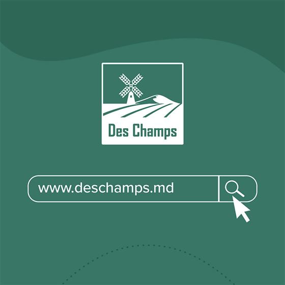 Ace masina de cusut saci GK9-350 | Des Champs