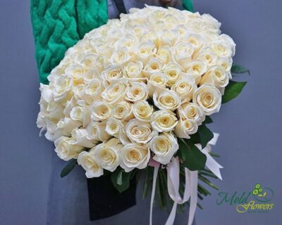 8ab16c649b166823a2841824bf6f97e5